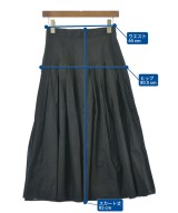 DRESSTERIOR（ドレステリア）ロング・マキシ丈スカート 黒 サイズ:36(S位) レディース/2200683223392