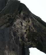 DIESEL（ディーゼル）パーカー 黒 サイズ:S メンズ/2200626993054