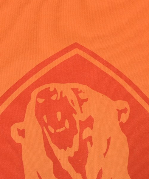 DIESEL（ディーゼル）スウェット オレンジ サイズ:S メンズ/2200621667394