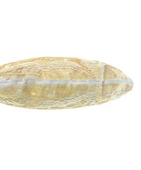 Lesport SAC（レスポートサック）トートバッグ 黄 サイズ:- レディース/2200620803144