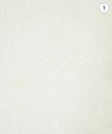 LOWRYS FARM（ローリーズファーム）Tシャツ・カットソー 白 サイズ:F レディース/2200632429110