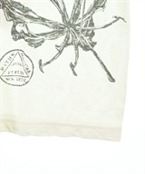 pas de calais（パドカレ）Tシャツ・カットソー 白 サイズ:36(S位) レディース/2200612571150