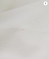 Theory（セオリー）ニット・セーター 白 サイズ:P(XS位) レディース/2200682410038