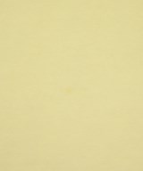EARTH MUSIC&ECOLOGY（アースミュージックアンドエコロジー）スウェット 白 サイズ:F レディース/2200715758052