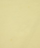 EARTH MUSIC&ECOLOGY（アースミュージックアンドエコロジー）スウェット 白 サイズ:F レディース/2200715758052