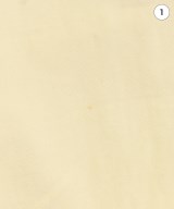 DANTON（ダントン）その他 白 サイズ:38(S位) メンズ/2200710859044