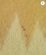 Needles（ニードルス）カーディガン 茶 サイズ:XS メンズ/2200654815045