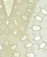 Ballsey（ボールジー）カジュアルシャツ 白 サイズ:36(M位) レディース/2200628720160