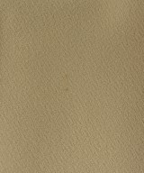 Ballsey（ボールジー）その他 ベージュ サイズ:36(M位) レディース/2200630490013