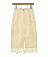 ANAYI（アナイ）ロング・マキシ丈スカート 白 サイズ:36(S位) レディース/2200636849266