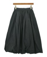 ANAYI（アナイ）ロング・マキシ丈スカート 黒 サイズ:36(S位) レディース/2200611972019