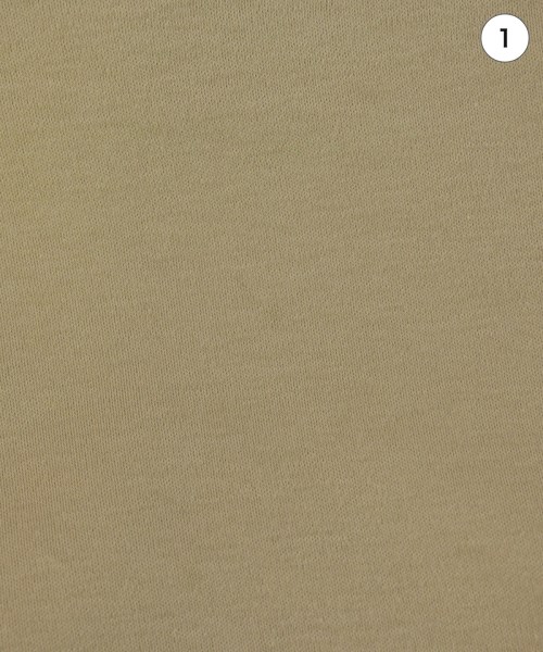 Nolley's（ノーリーズ）Tシャツ・カットソー ベージュ サイズ:36(S位) レディース/2200716213048