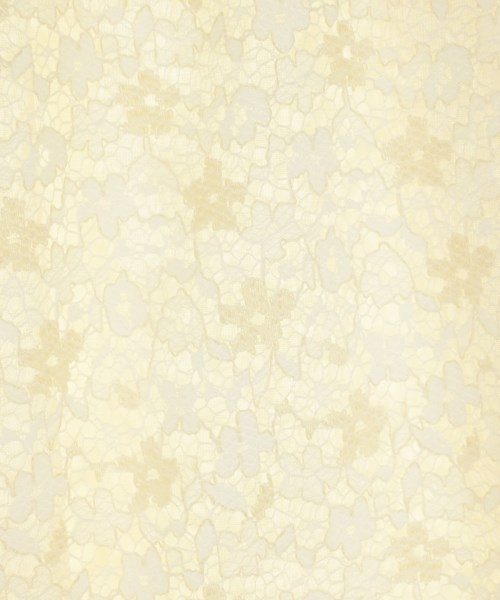 le coeur blanc（ル　クール　ブラン）ロング・マキシ丈スカート 白 サイズ:38(M位) レディース/2200633647025