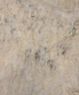 mystic（ミスティック）カーディガン ベージュ サイズ:F レディース/2200673215079