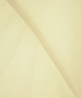 GALLARDA GALANTE（ガリャルダ　ガランテ）ブラウス 白 サイズ:F レディース/2200618276028