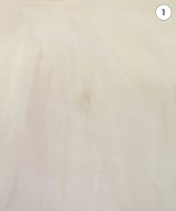 GALLARDA GALANTE（ガリャルダ　ガランテ）ブラウス 白 サイズ:F レディース/2200631599166