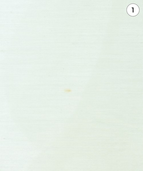 GALLARDA GALANTE（ガリャルダ　ガランテ）ブラウス 白 サイズ:F レディース/2200671775063