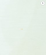 GALLARDA GALANTE（ガリャルダ　ガランテ）ブラウス 白 サイズ:F レディース/2200671775063