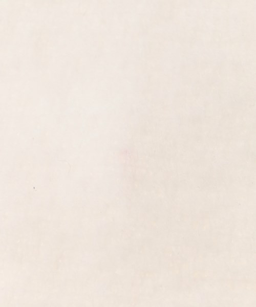 GALLARDA GALANTE（ガリャルダ　ガランテ）マフラー 白 サイズ:F レディース/2200674764255