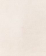 GALLARDA GALANTE（ガリャルダ　ガランテ）マフラー 白 サイズ:F レディース/2200674764255