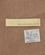 GALLARDA GALANTE（ガリャルダ　ガランテ）マフラー 茶 サイズ:- レディース/2200699998369