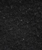 GALLARDA GALANTE（ガリャルダ　ガランテ）ロング・マキシ丈スカート 黒 サイズ:F レディース/2200668514019