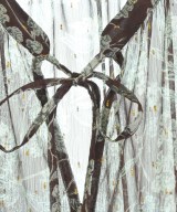 nano UNIVERSE（ナノユニバース）シャツワンピース 茶 サイズ:38(M位) レディース/2200658143045