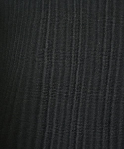 nano UNIVERSE（ナノユニバース）Tシャツ・カットソー 黒 サイズ:36(S位) レディース/2200708009017