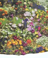 Sybilla（シビラ）ロング・マキシ丈スカート 緑 サイズ:SS レディース/2200637169073