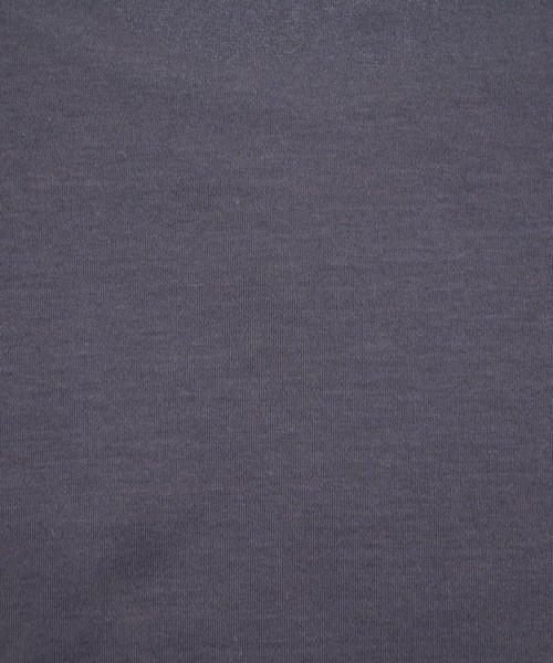 INDIVI（インディヴィ）Tシャツ・カットソー グレー サイズ:38(M位) レディース/2200628218278
