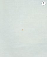 INDIVI（インディヴィ）ブラウス 白 サイズ:38(M位) レディース/2200617163046