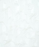 INDIVI（インディヴィ）ブラウス 白 サイズ:38(M位) レディース/2200633529024