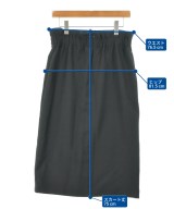 INDIVI（インディヴィ）ロング・マキシ丈スカート 黒 サイズ:42(XL位) レディース/2200614318173