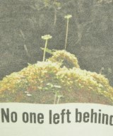 UNTITLED（アンタイトル）Tシャツ・カットソー 白 サイズ:2(M位) レディース/2200656191031