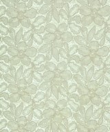 UNTITLED（アンタイトル）Tシャツ・カットソー 白 サイズ:2(M位) レディース/2200645909173