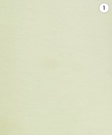 LAUTREAMONT（ロートレアモン）スウェット 白 サイズ:38(M位) レディース/2200670368044