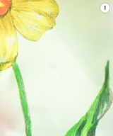 NARA CAMICIE（ナラカミーチェ）ブラウス その他（柄物・カラフル） サイズ:-(XL位) レディース/2200614488074