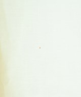 NATURAL BEAUTY BASIC（ナチュラルビューティーベーシック）ブラウス 白 サイズ:M レディース/2200700058099