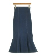 PROPORTION BODY DRESSING ロング・マキシ丈スカート