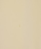 PROPORTION BODY DRESSING（プロポーションボディードレッシング）ワンピース ベージュ サイズ:M レディース/2200616503089