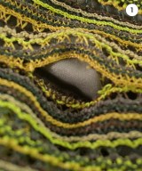 JEANASIS（ジーナシス）その他 茶 サイズ:F レディース/2200663358137