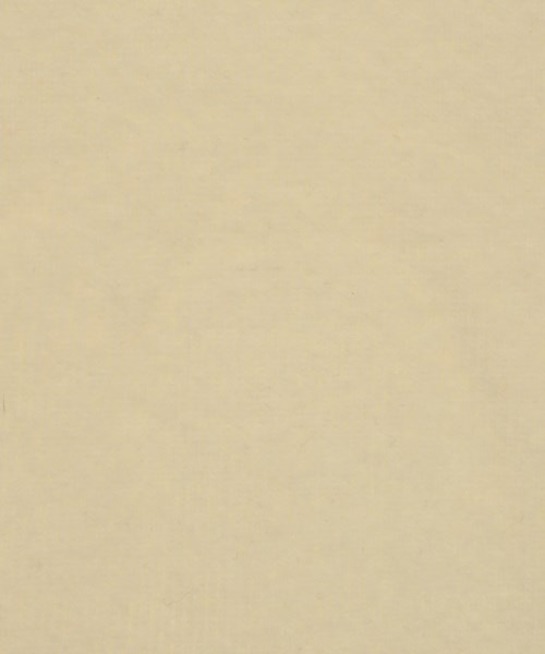 Apuweiser-riche（アプワイザーリッシェ）ニット・セーター 白 サイズ:2(M位) レディース/2200631977049