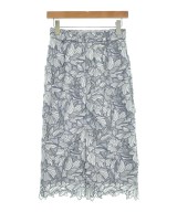 Apuweiser-riche（アプワイザーリッシェ）ロング・マキシ丈スカート グレー サイズ:1(S位) レディース/2200615992136