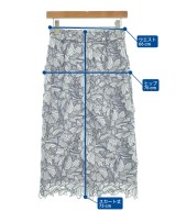 Apuweiser-riche（アプワイザーリッシェ）ロング・マキシ丈スカート グレー サイズ:1(S位) レディース/2200615992136