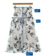 Apuweiser-riche（アプワイザーリッシェ）ロング・マキシ丈スカート 白 サイズ:0(XS位) レディース/2200645889192