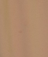 theory luxe（セオリーリュクス）その他 ベージュ サイズ:38(M位) レディース/2200616456057