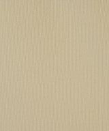 theory luxe（セオリーリュクス）その他 ベージュ サイズ:38(M位) レディース/2200611269041