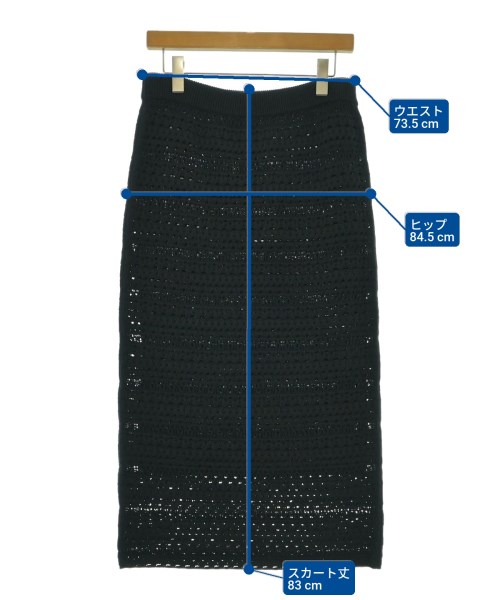theory luxe（セオリーリュクス）ロング・マキシ丈スカート 黒 サイズ:40(M位) レディース/2200657832896