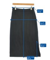 theory luxe（セオリーリュクス）ロング・マキシ丈スカート 黒 サイズ:40(M位) レディース/2200718999070