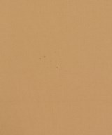 theory luxe（セオリーリュクス）ワンピース ベージュ サイズ:38(M位) レディース/2200632956128